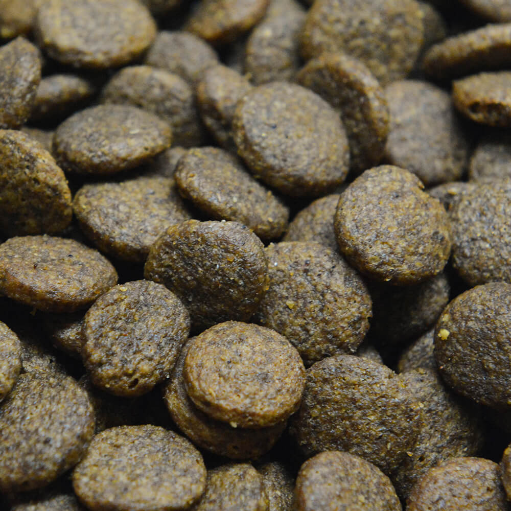 Grain Free Tuna - Image 2