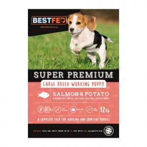 Super Premium Salmon & Potato