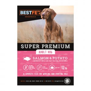 Super Premium Salmon & Potato