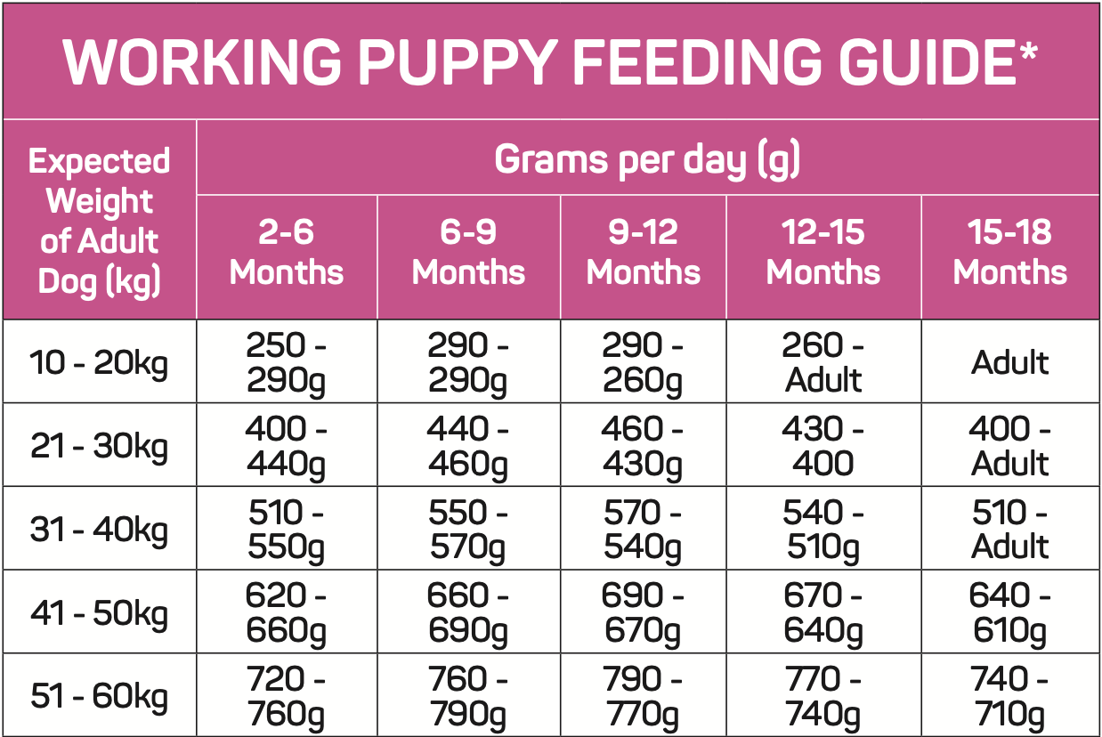 Feeding